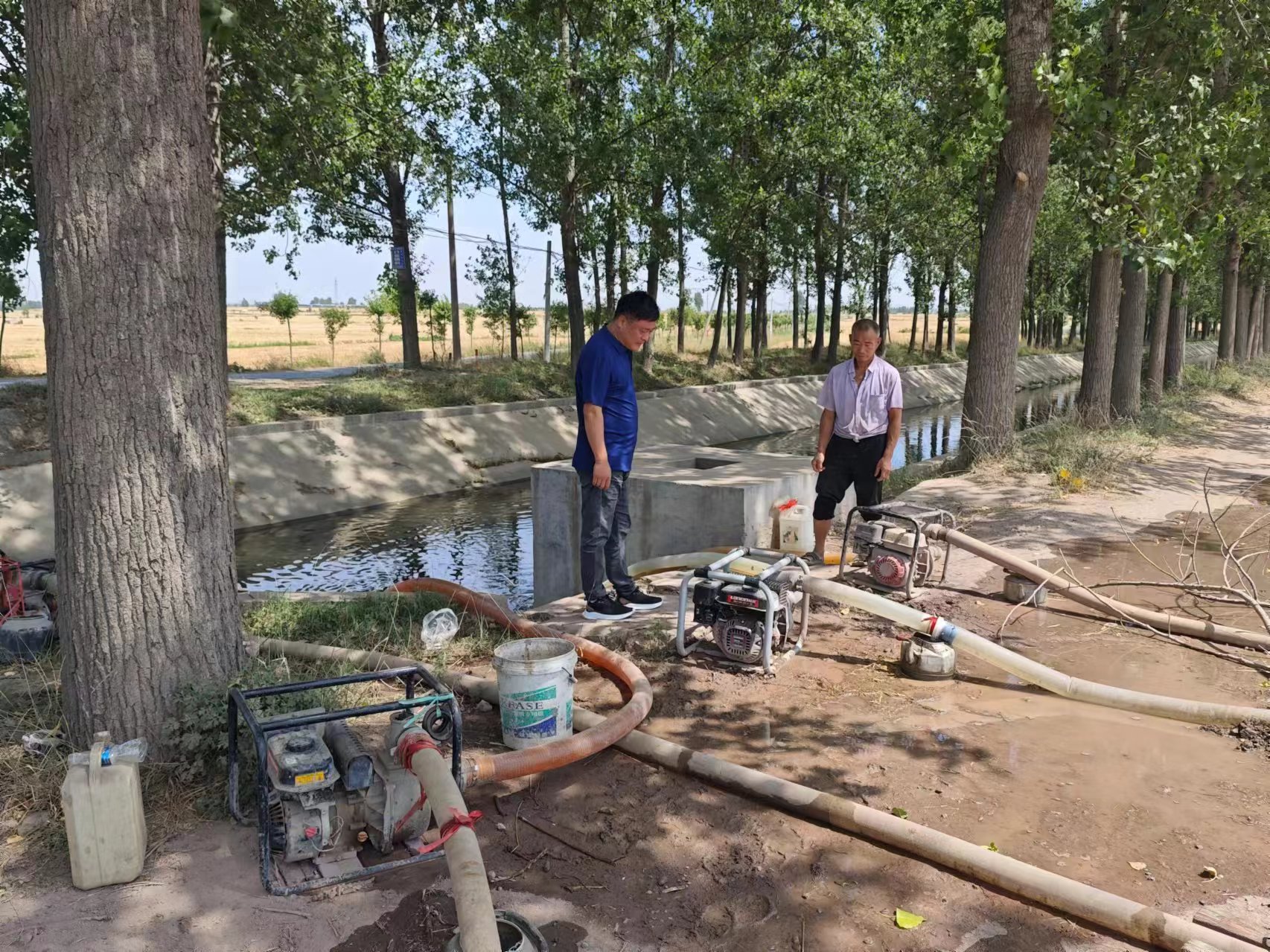 河南寶豐:水潤沃野保夏種(图1)