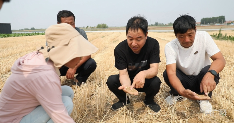 在现场|山东沂水:降水较去年减少六成当地多措并举保障夏种用水(图5)