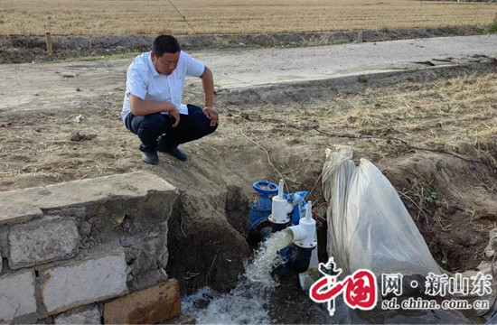 济宁泗水县杨柳镇:支持抗旱抢种政协委员在行动(图1)