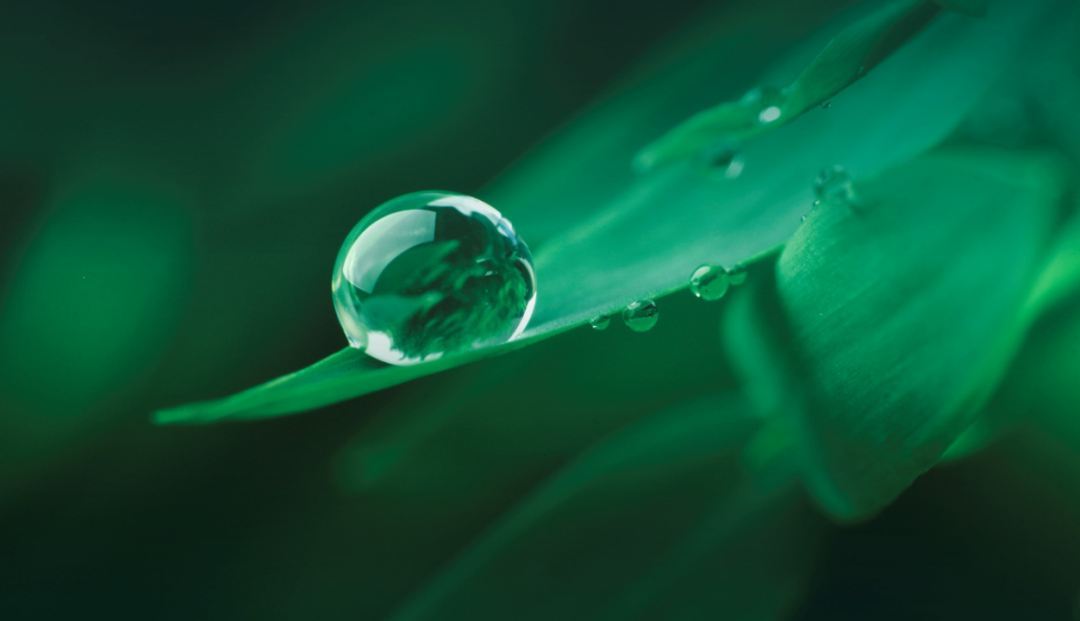 威乐环球|再次登顶EcoVadis威乐连续三年获得可持续发展白金评级!(图1)