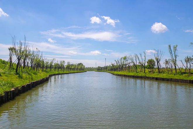 房价跌回2017年!南京这个板块价值被低估了吗?(图16)