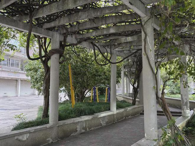 水泵噪声扰民怎么办?红色物业联盟巧解难题(图6)