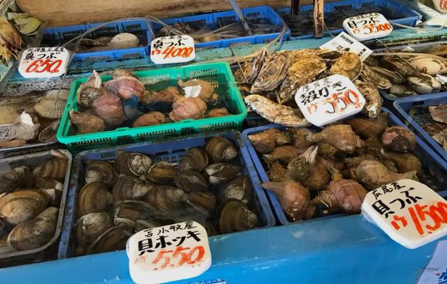 日本让步中日达成4点共识中方将开放水产品?但有前提(图3)