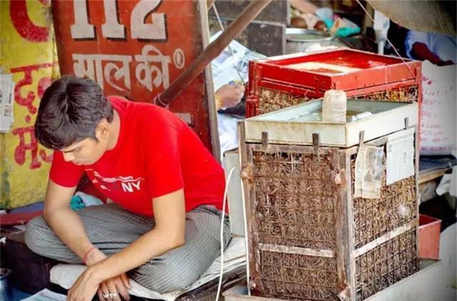 印度发明的稻草空调工作原理是什么？(图7)