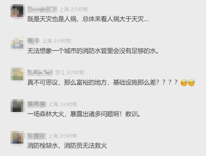 前童星洛杉矶大火中惨死母亲沉痛发声!市长不再沉默双手插兜笑着回应(图5)