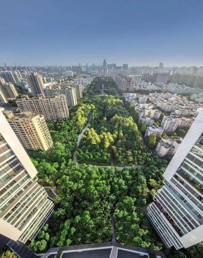 2024中鹰黑森林(售楼处发布)网站-中鹰黑森林楼盘百科-房天下(图4)