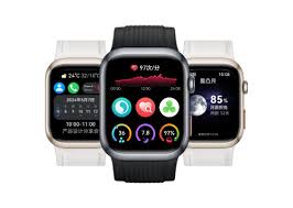 华为watchd2有哪些功能(图2)