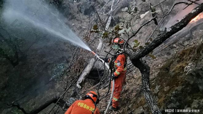 便携式灭火水泵:森林火灾中的灵活守护者(图1)