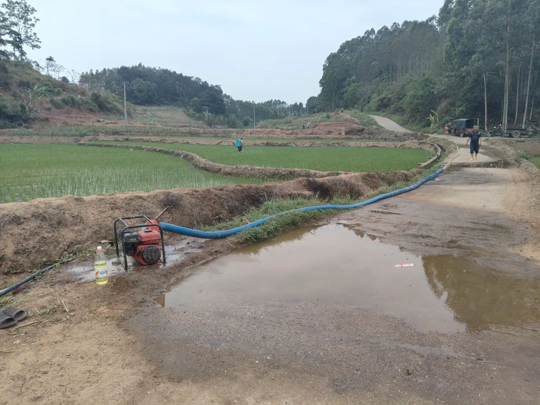 中和镇：干群同心战旱情全力以赴保春耕(图1)