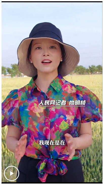 一线探访河南抗旱：丰收前的“冲刺跑”(图4)