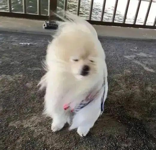遇到暴雨、大风天气怎么办?这份紧急避险知识请查收!(图2)