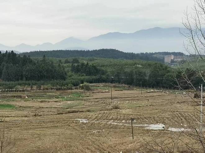 “外嫁女”喜领征地补偿款“村规民约”并不靠谱!(图1)