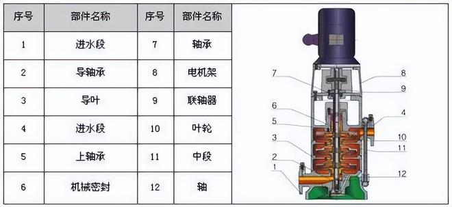 【图朴解决方案】34种泵的内部结构图(图3)