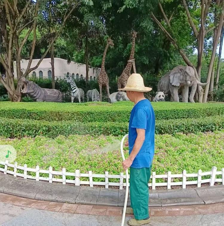 重庆市城市管理局(图1)