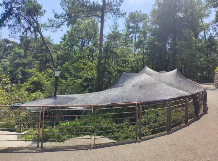 重庆市城市管理局(图2)