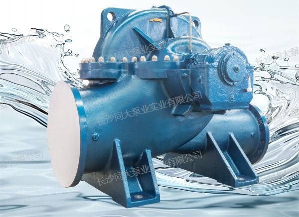 同大水泵谈250S39中开式多级离心泵进水口有杂物进入问题(图2)