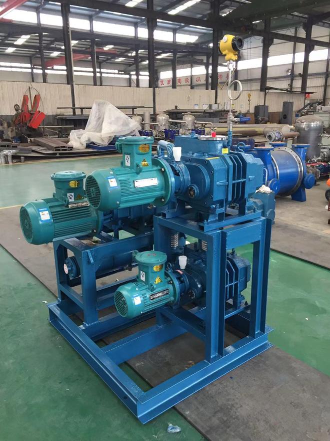 双环真空泵厂专注真空设备制造技术团队严格把控品质(图1)