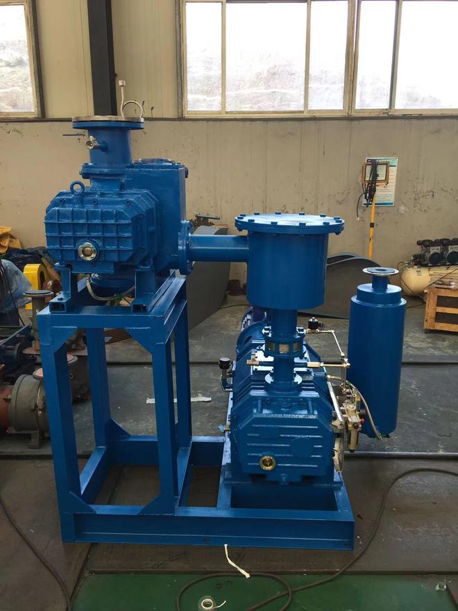 双环真空泵厂专注LS系列干式螺杆真空泵制造技术团队全程严格把控(图1)