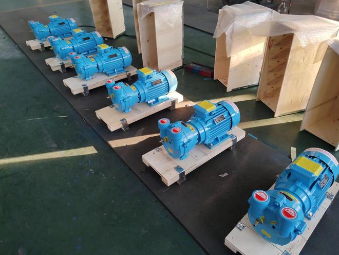 淄博双环真空泵厂专注耐腐蚀水环真空泵制造技术团队严格把控生产全流程(图2)