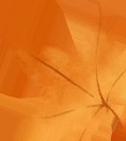 养护“水”景观备战寒冬季(图3)