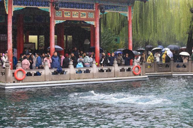 趵突泉水泵内幕大曝光！真相引发热议！(图2)