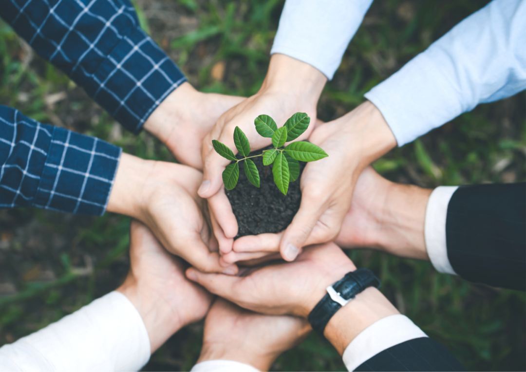 威乐再获国家级认证！Wilo-SA系列全系潜污泵荣获中国节能产品认证(图5)