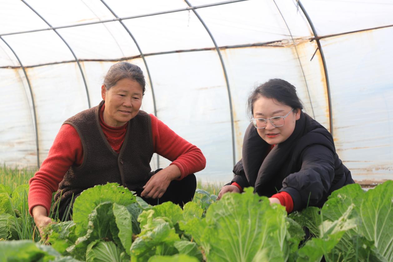 扎根基层践初心为民服务暖人心(图1)