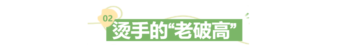 住在云端困在深谷:买超高楼层的业主进退两难(图4)