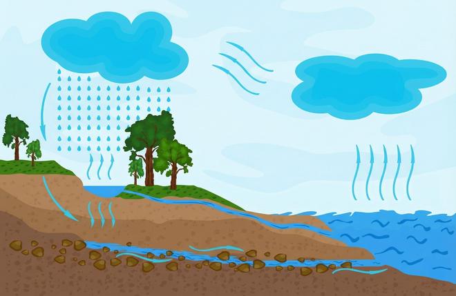 你对水循环的认知一直被误导了(图1)