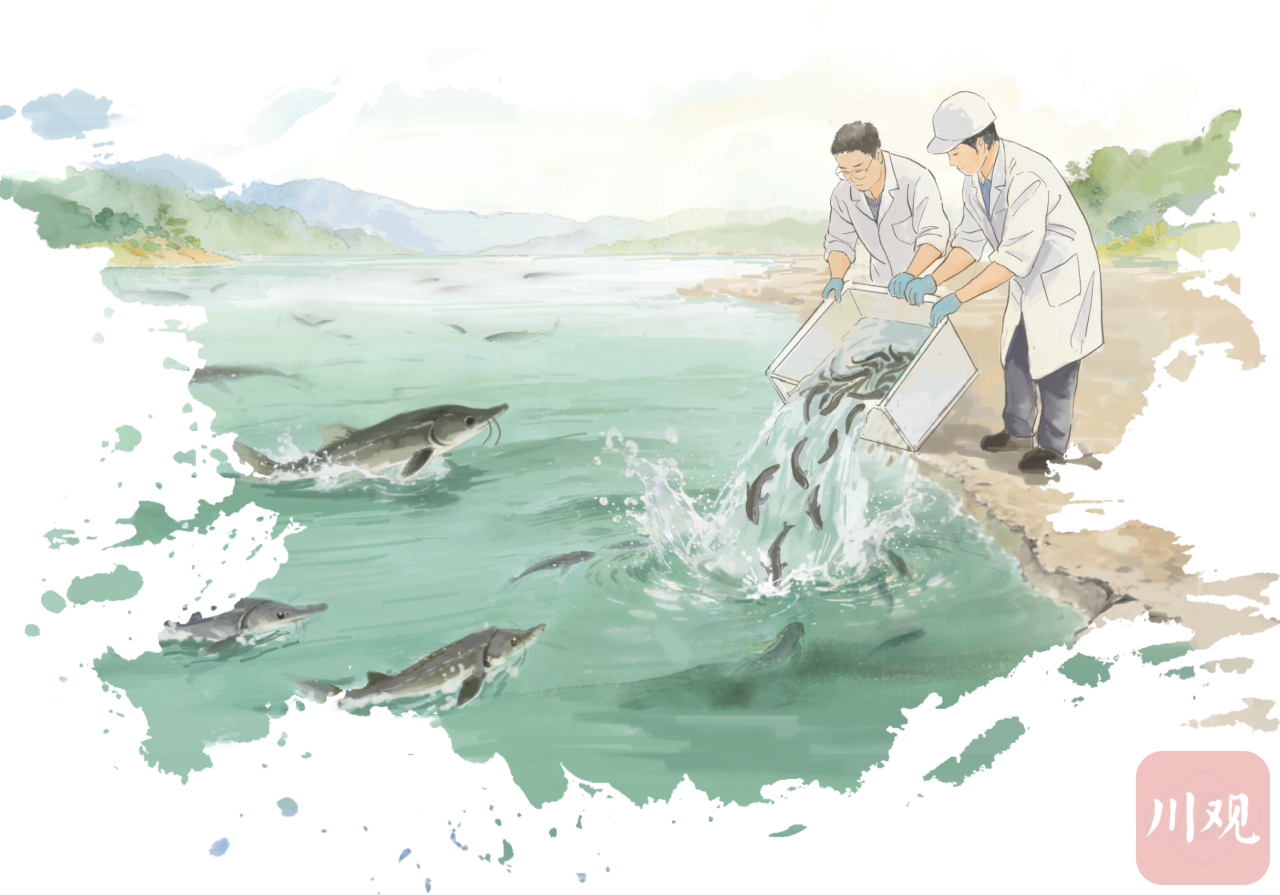 听长江的心跳(图3)