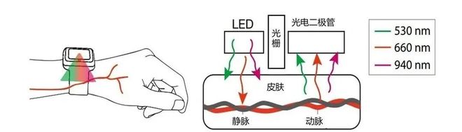 健康手表方案浅析(图2)