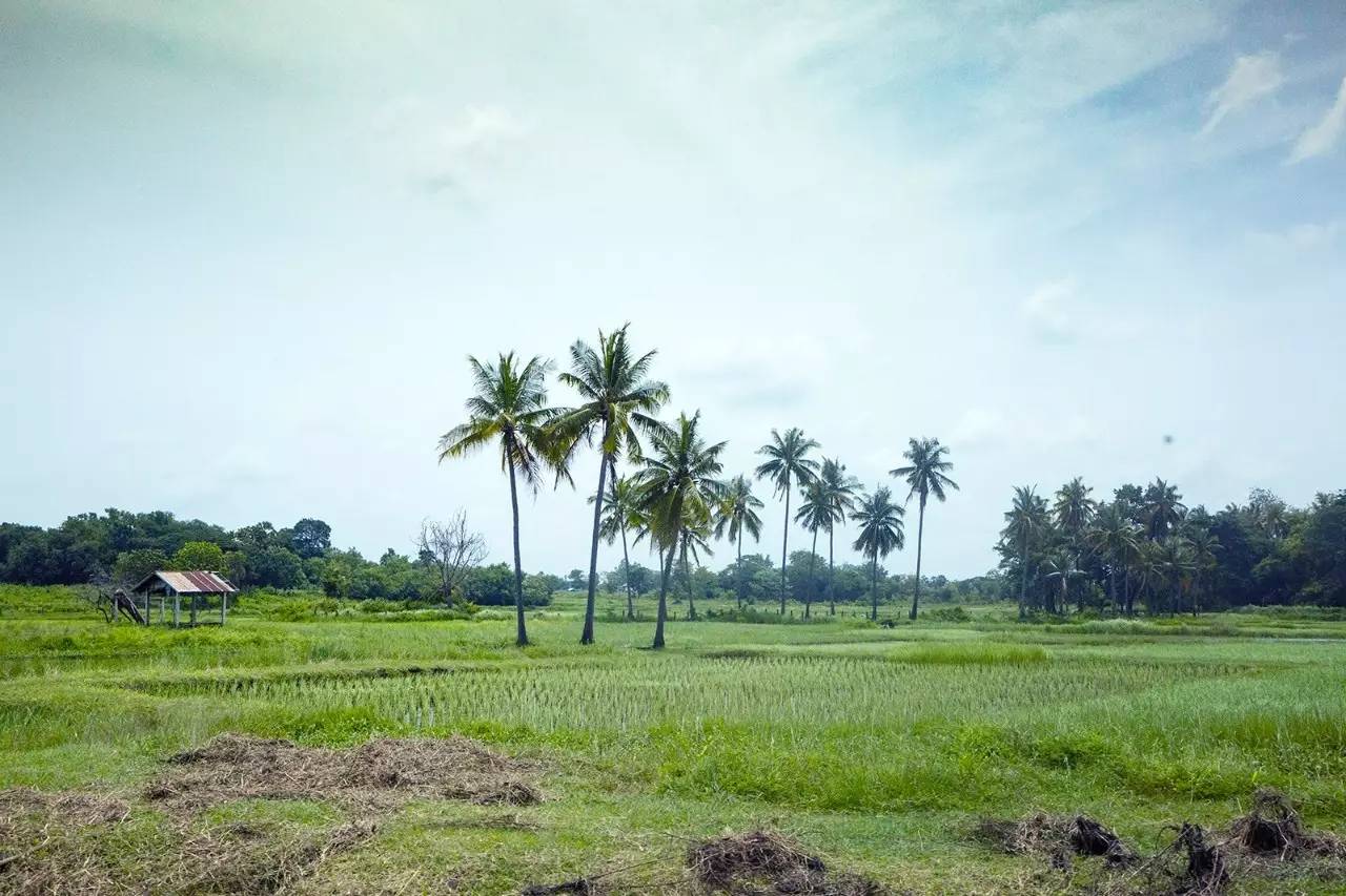 我去泰国追了个热点(图11)