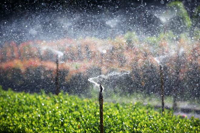 关于水泵的基础认知与介绍(图2)