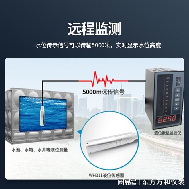 WH311液位显示器的工作原理是什么?(图2)