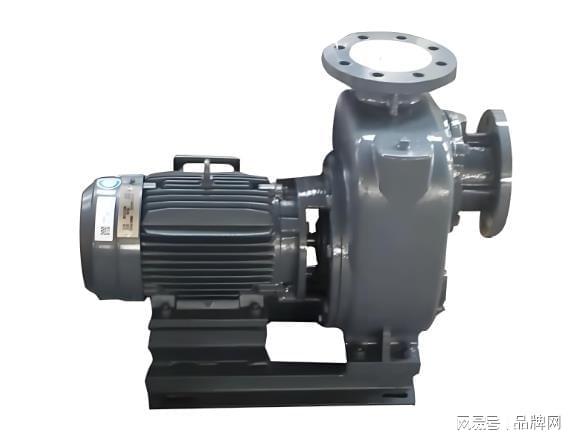 2026水泵十大品牌排行榜前十名水泵品牌哪个好名单chinapp(图3)