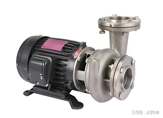 2026水泵十大品牌排行榜前十名水泵品牌哪个好名单chinapp(图2)