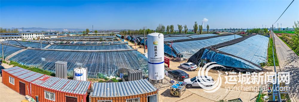 养鱼不换水种菜不施肥(图1)