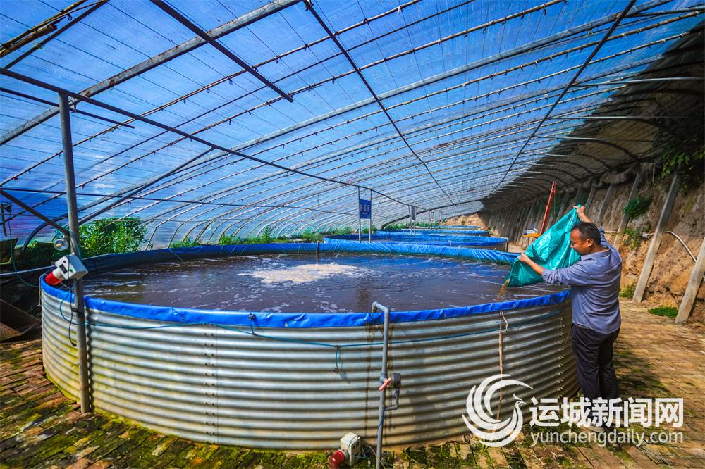 养鱼不换水种菜不施肥(图2)