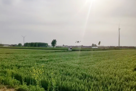 南阳市宛城区：科技赋能助力小麦稳产增收(图2)